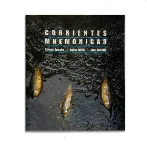 Portada de la Libro Corrientes Mnemónicas