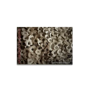 Portada del Libro "Ha llegado a su destino" de Monique Bastiaans