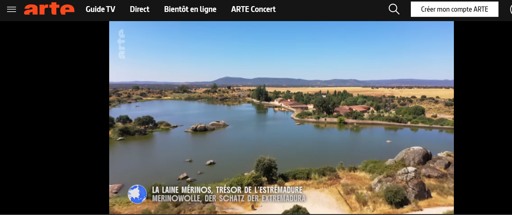 reportaje-lanas-merino-canal-arte