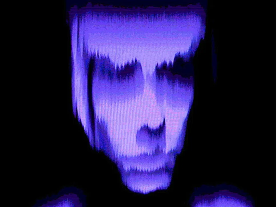 The Collapse of PAL, 2010, video still